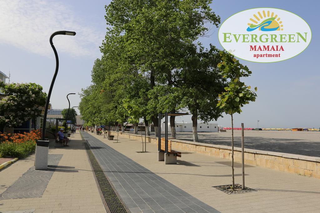 Evergreen Vlas Mamaia Sud Buitenkant foto
