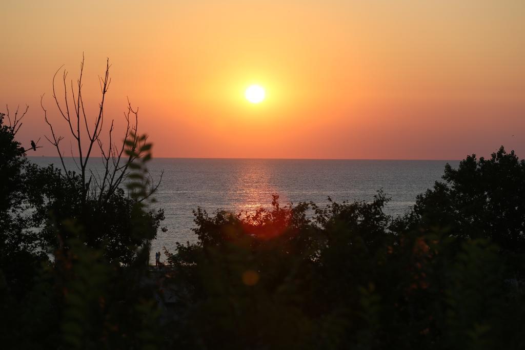 Evergreen Vlas Mamaia Sud Buitenkant foto